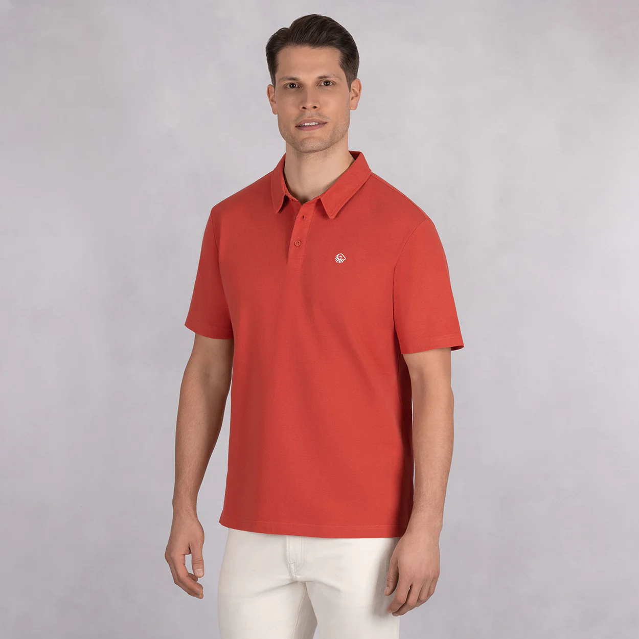 POLO SHIRT ORGANIC COTTON MEN - Image 2